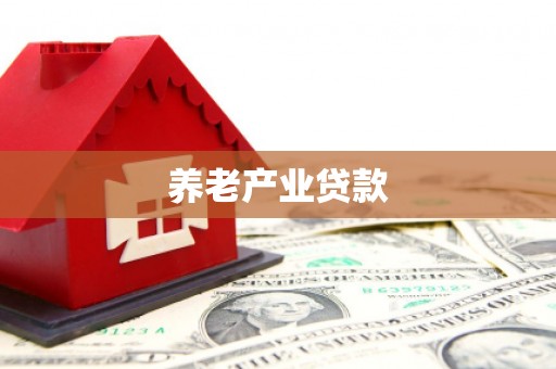 友好养老产业贷款