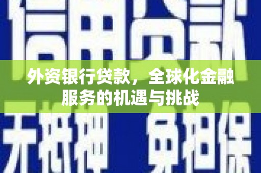 托里外资银行贷款，全球化金融服务的机遇与挑战