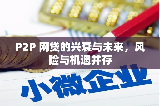 蓬溪P2P 网贷的兴衰与未来，风险与机遇并存