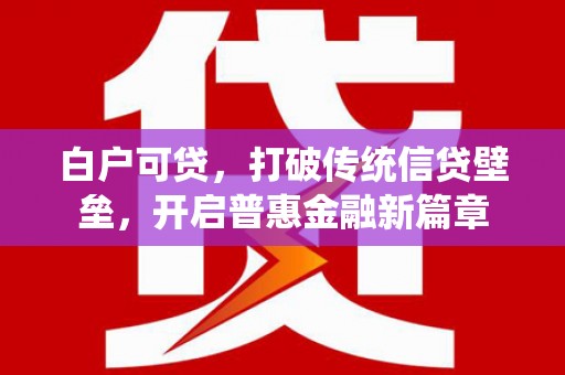 延津白户可贷，打破传统信贷壁垒，开启普惠金融新篇章