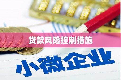 肇源贷款风险控制措施