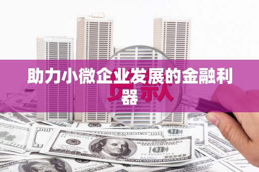 莎车助力小微企业发展的金融利器
