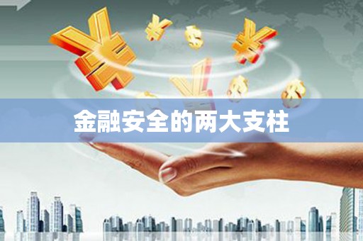 沁县金融安全的两大支柱