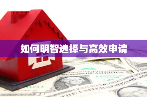 右江如何明智选择与高效申请