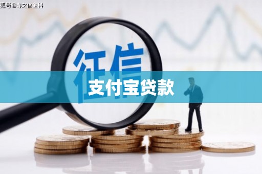 大名支付宝贷款