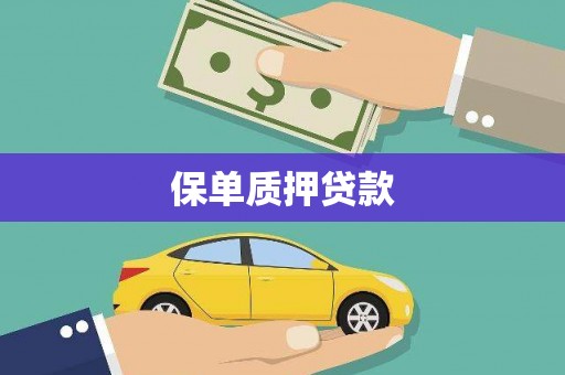 三民保单质押贷款