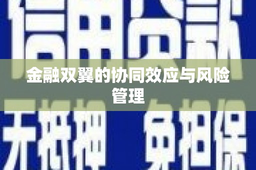郑州金融双翼的协同效应与风险管理