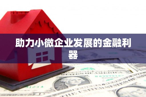 昌图助力小微企业发展的金融利器