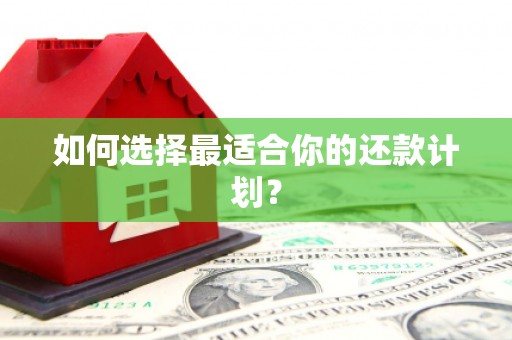 武义如何选择最适合你的还款计划？