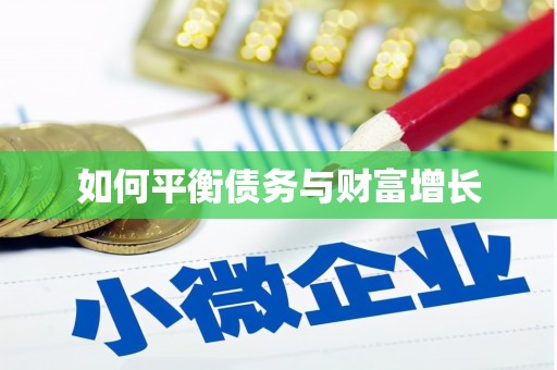 禅城如何平衡债务与财富增长